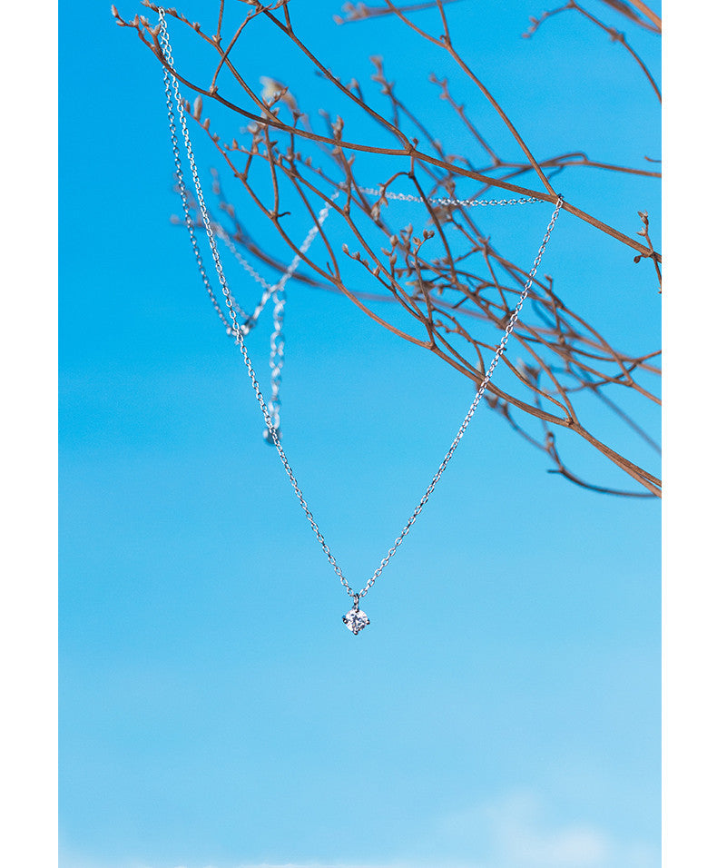 NECKLACE WITH SILVER NECKLACE