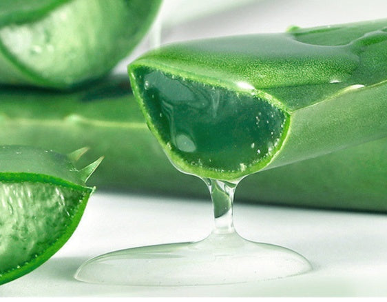 ALOE VERA SKIN CARE MOISTURIZING FACE CREAM
